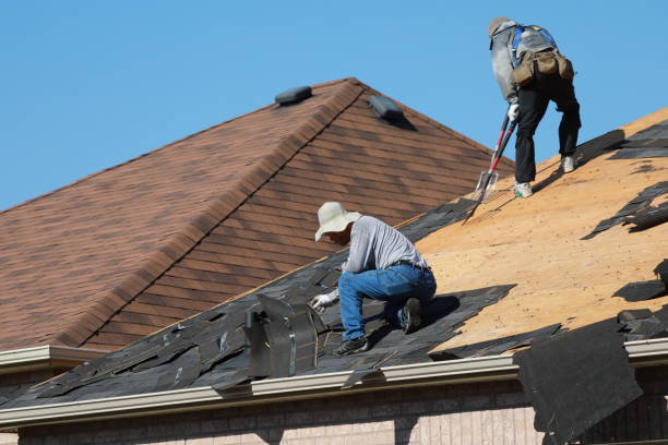 Best Skylight Installation and Repair  in Olivehurst, CA