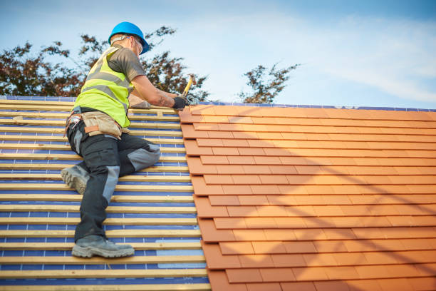 Best Roof Coating and Sealing  in Olivehurst, CA